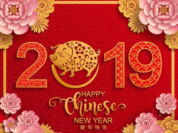 金豬送喜辭舊歲，雙志陪您慶新春！